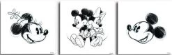 Disney - Canvas Set Van 3 - Mickey & Minnie - 3x 30x30 Cm
