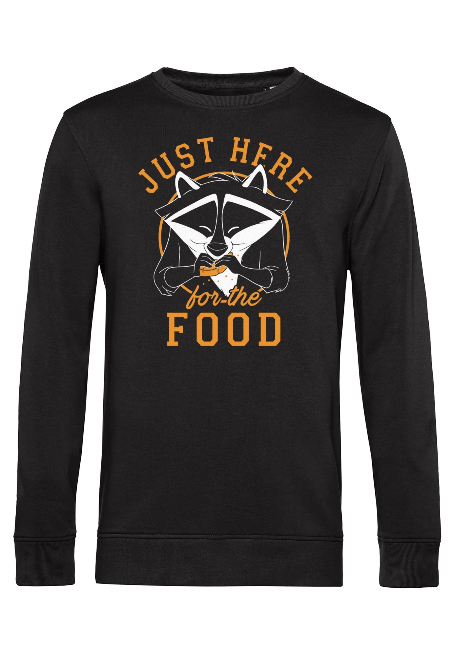 Disney Pocahontas Meeko Here For Food - Sweater - Black 4 Disney Pocahontas Meeko Here For Food - Sweater - Black - Afbeelding 4