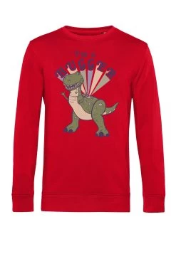 Disney Toy Story 1-3 Hugger Rex - Sweater - Red 7 Disney Toy Story 1-3 Hugger Rex - Sweater - Red -Mode Verkoop d047347d4a3c4f1cbd22e1c5335a6f72